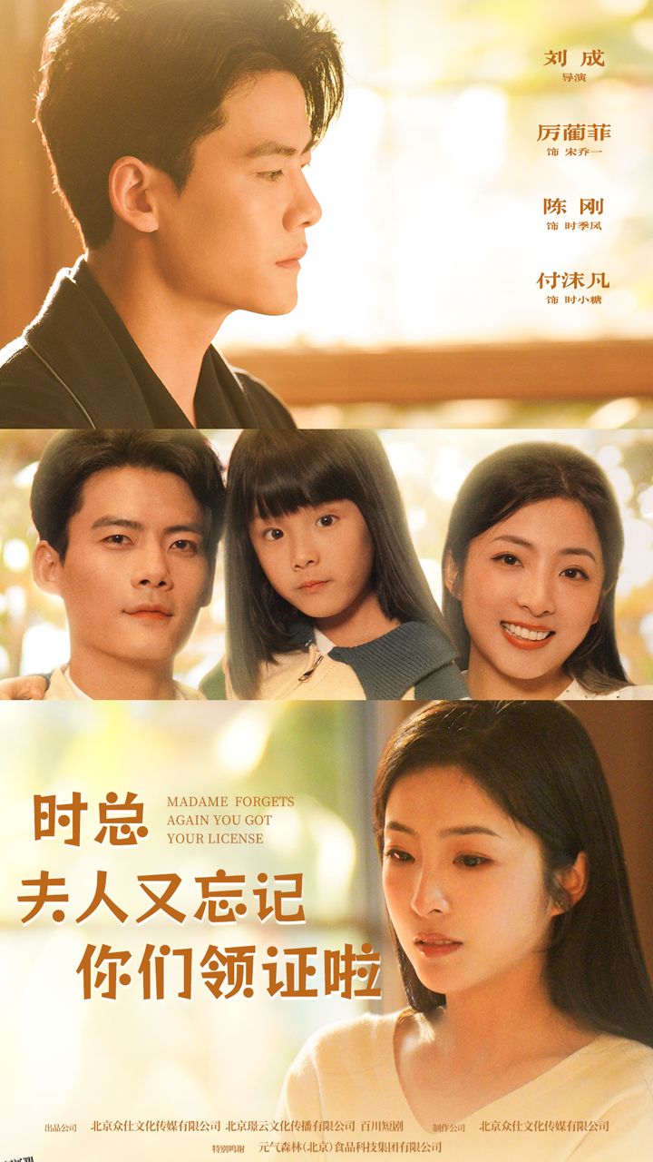 时总，夫人又忘记你们领证啦 海报