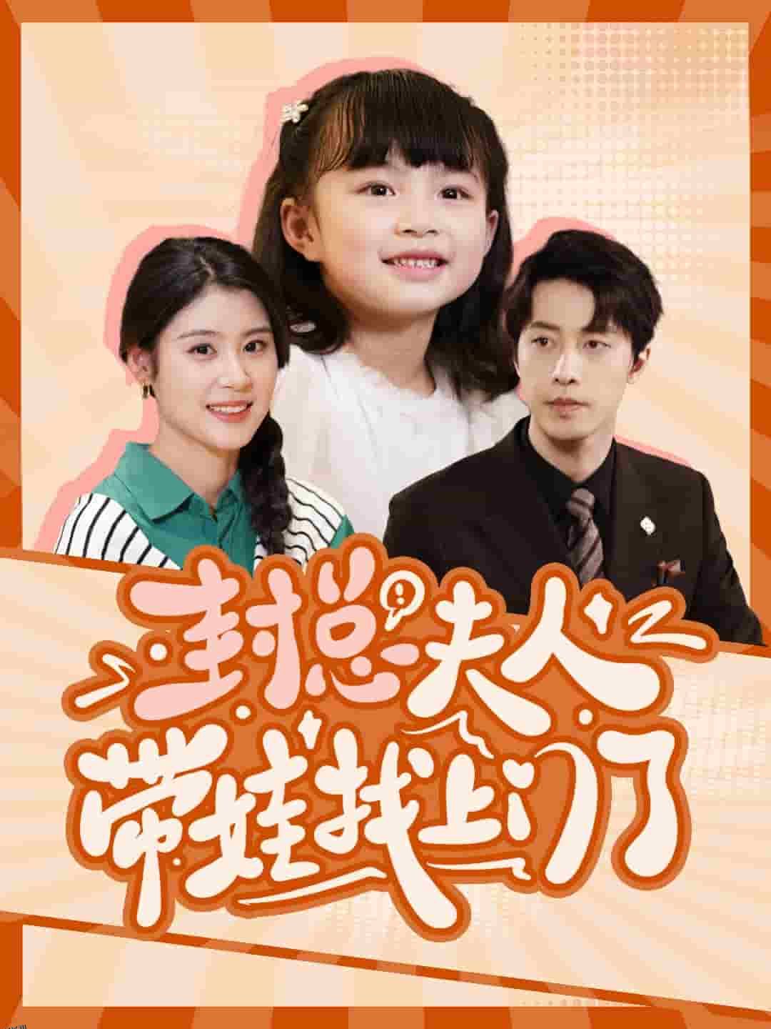 封总夫人带娃找上门了 海报