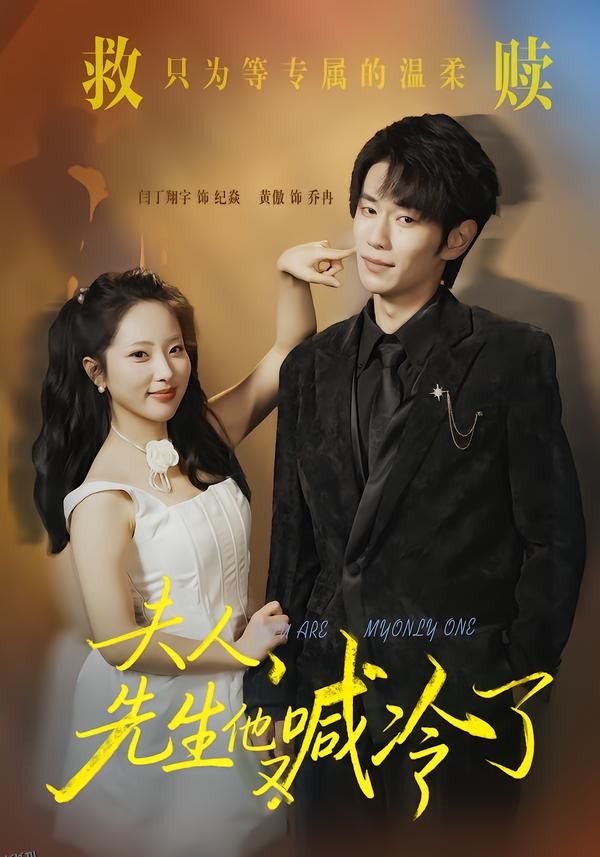 夫人，先生他又喊冷了 海报