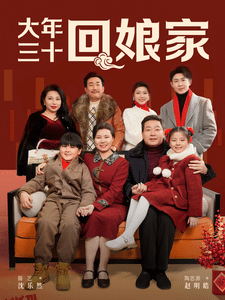 大年三十回娘家 海报