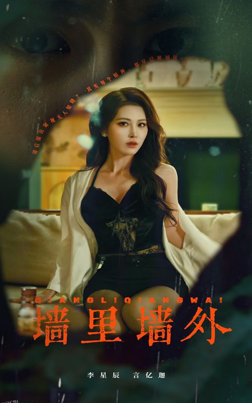 墙里墙外 海报