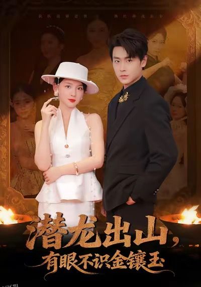 潜龙出山有眼不识金镶玉 海报