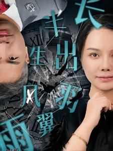 半生风雨长出羽翼 海报