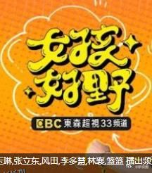 女孩好野第二季 海报