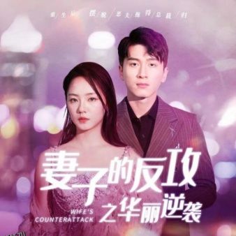 妻子的反攻之华丽逆袭 海报