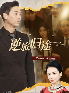 逆旅归途 海报