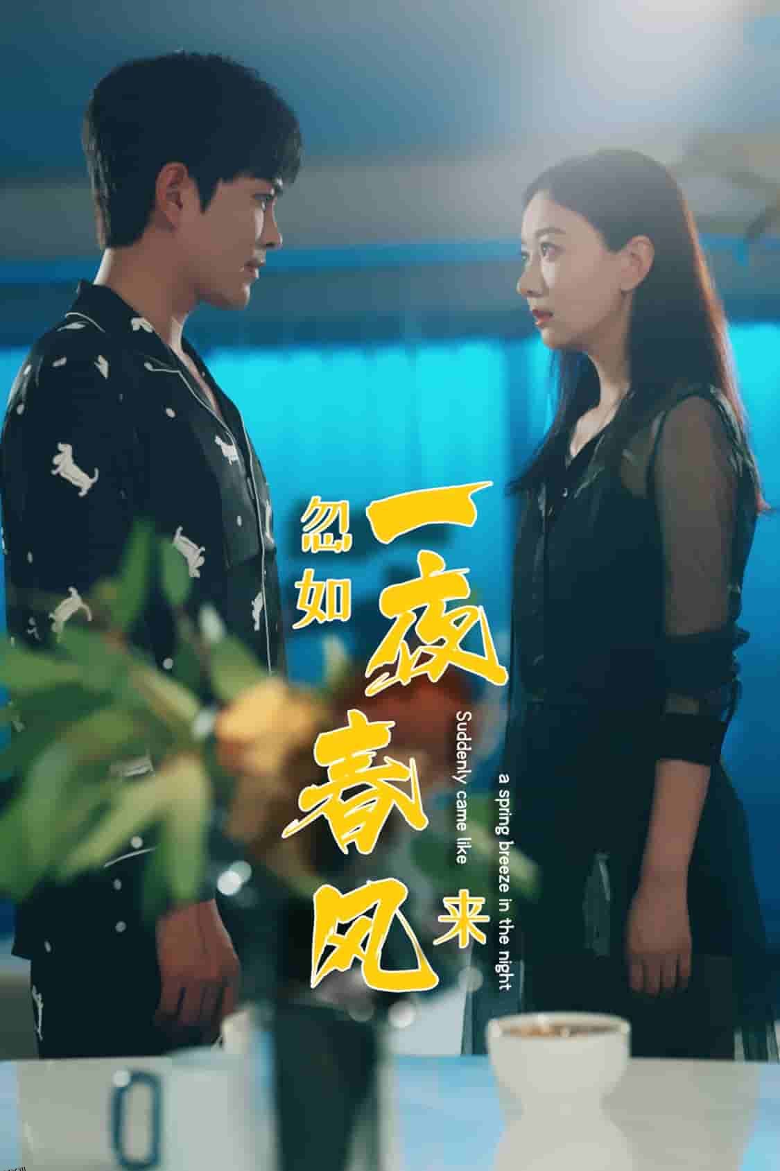 忽如一夜春风来 高清海报