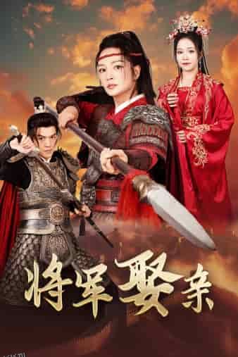 将军娶亲 海报