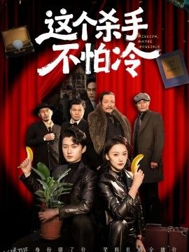 这个杀手不怕冷 海报