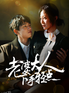 老婆大人下手轻点 海报