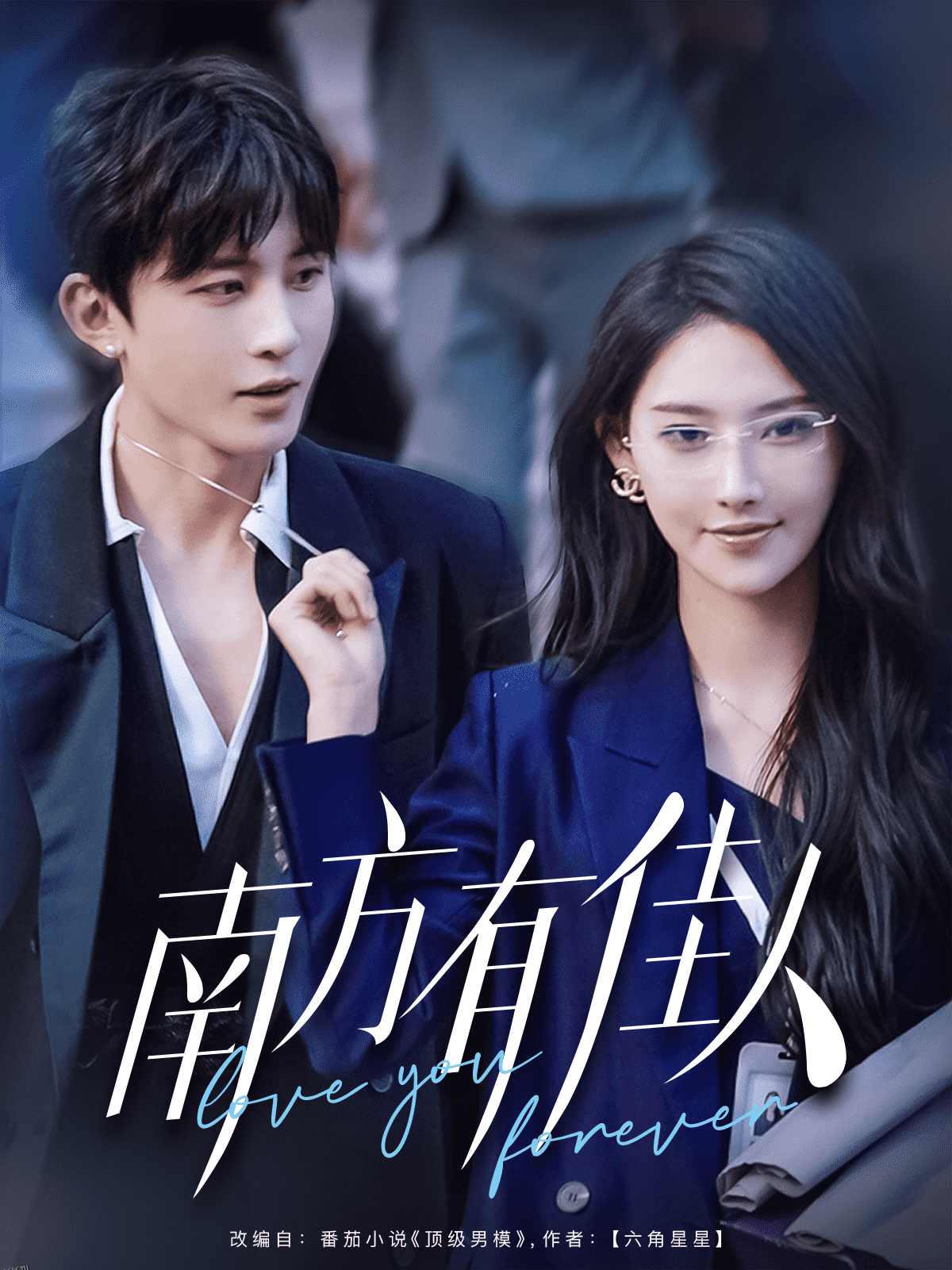 南方有佳人 海报