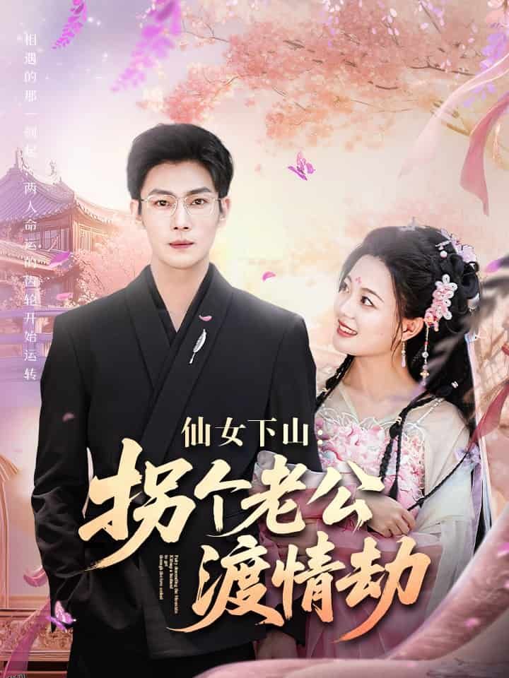 仙女下山拐个老公渡情劫 海报