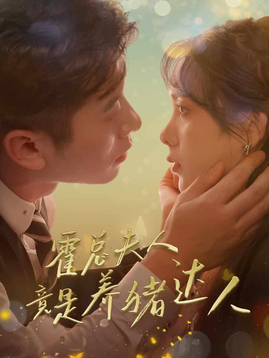 霍总夫人竟是养猪达人 海报