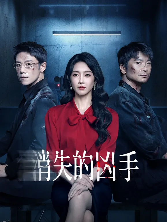 消失的凶手2025 海报
