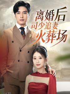 离婚后司少追妻火葬场 海报