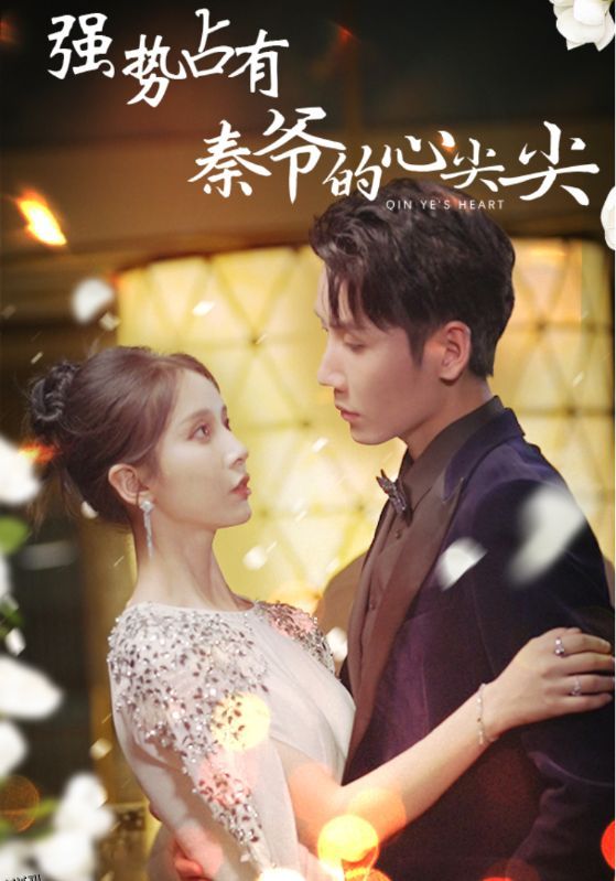 强势占有：秦爷的心尖尖 海报