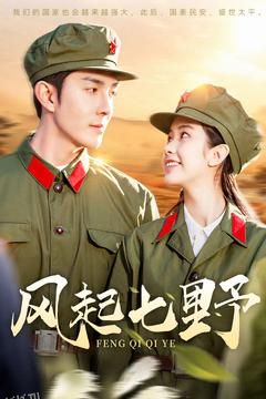 风起七野 海报