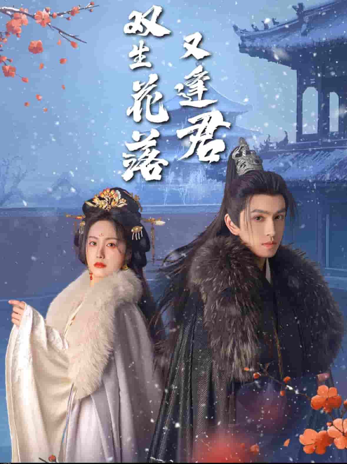 双生花落又逢君 海报