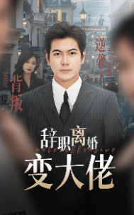 辞职离婚变大佬 海报