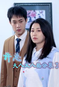 许总，夫人又人格分裂了 海报