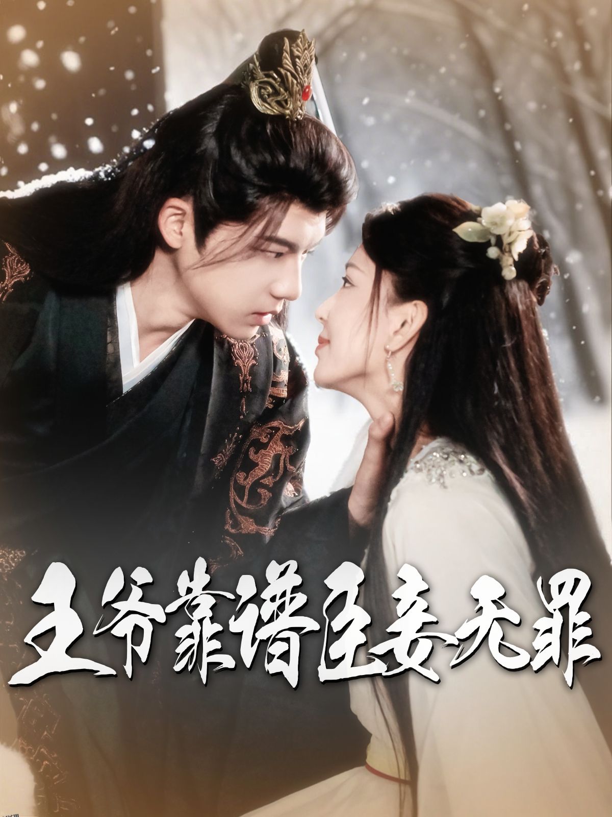 王爷靠谱臣妾无罪 海报