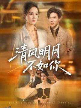 清风明月不如你 海报