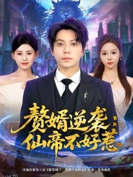 赘婿逆袭：仙帝不好惹 海报