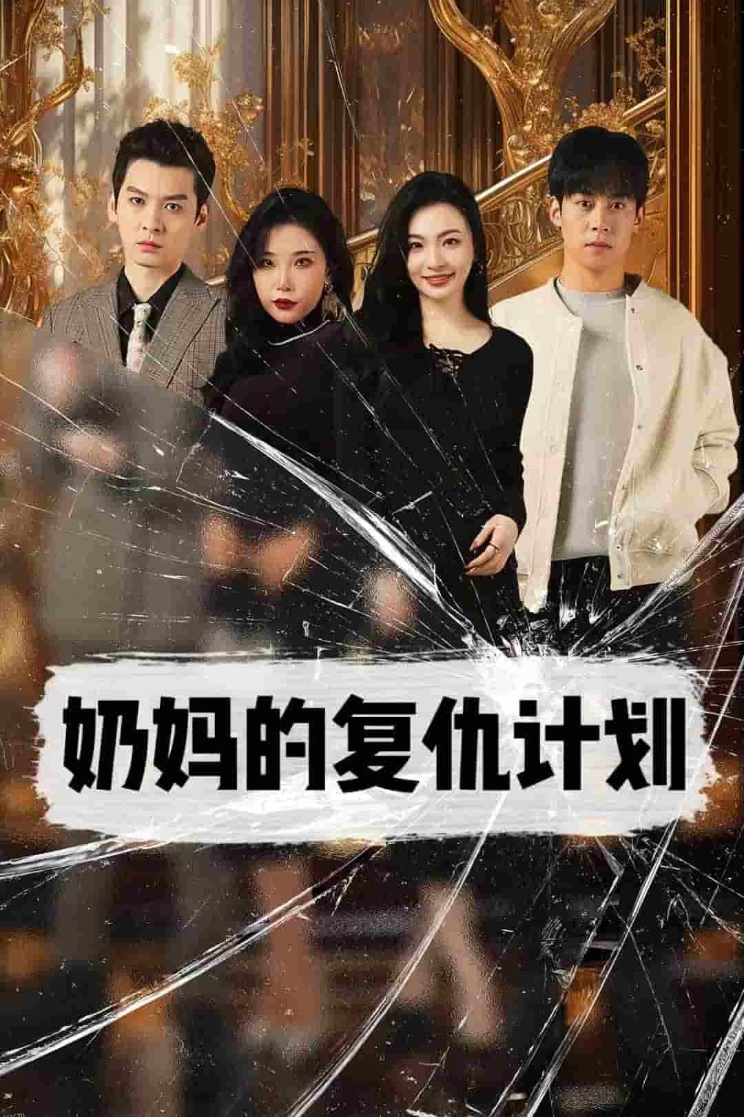 奶妈的复仇计划 海报