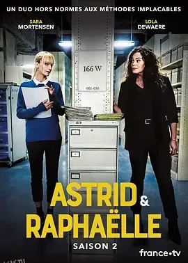 子不雨双姝奇探第二季 海报