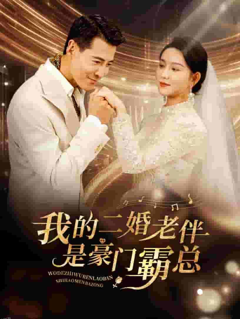 我的二婚老伴是豪门霸总 海报