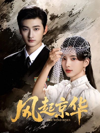 风起京华 海报