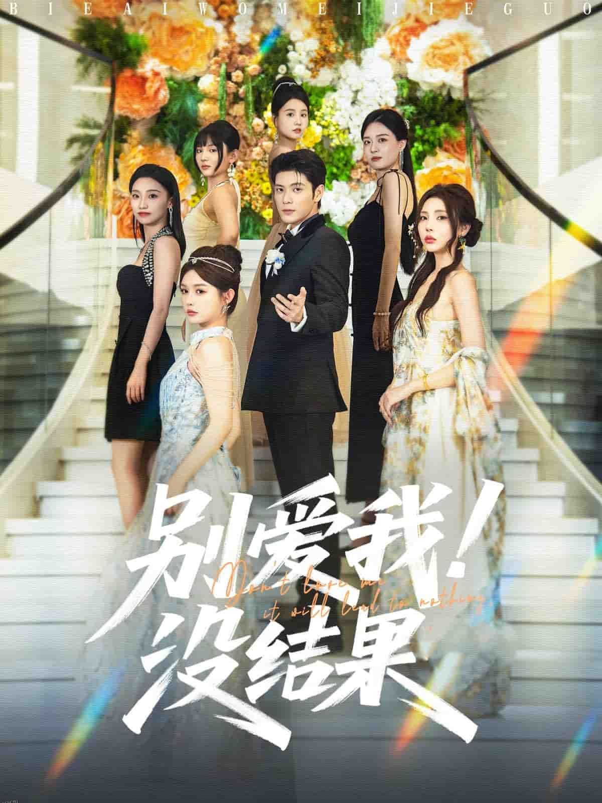 别爱我没结果 海报