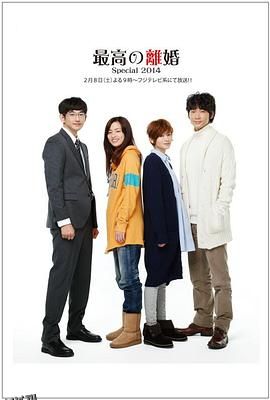 最完美的离婚 2014特别篇 海报