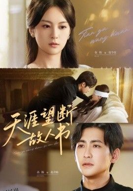 天涯望断故人书 海报