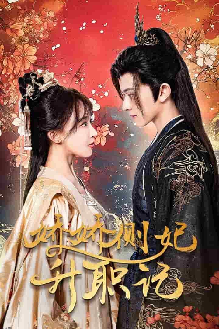 娇娇侧妃升职记 海报