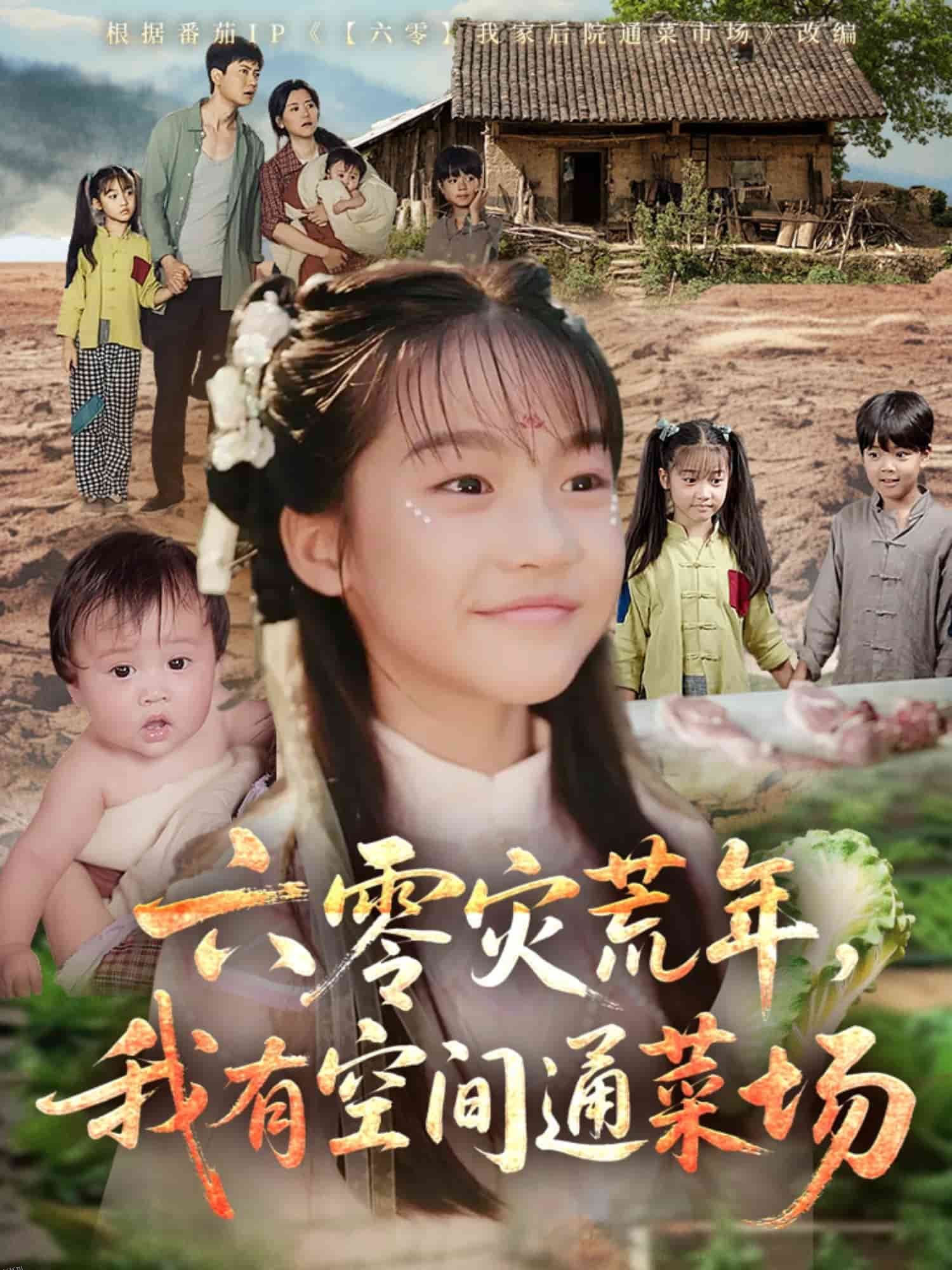 六零灾荒年，我有空间通菜场 海报