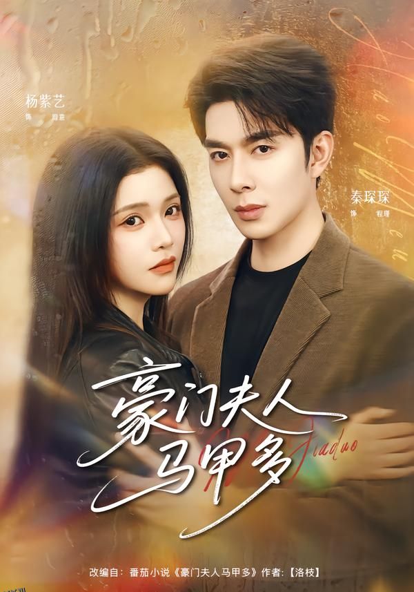 豪门夫人马甲多 海报
