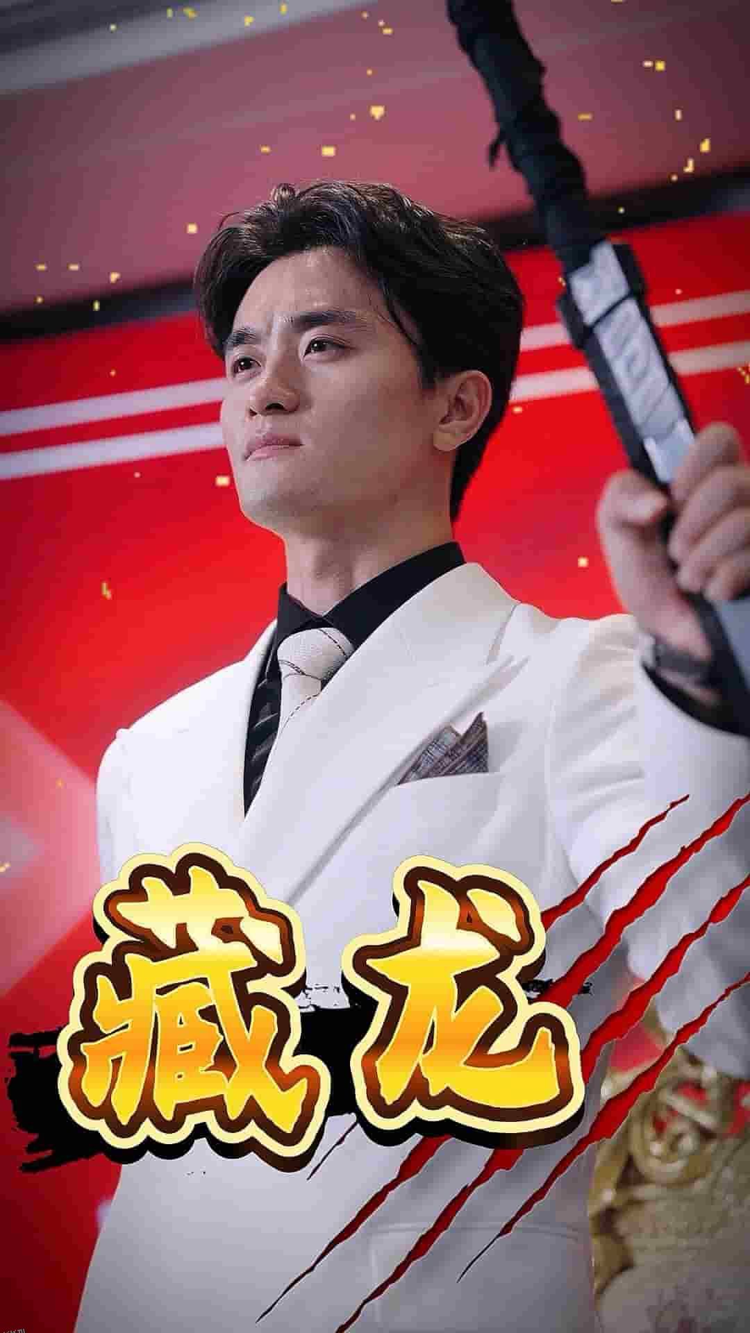 藏龙 短剧版 海报