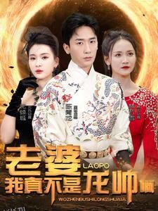 老婆我真不是龙帅啊 海报