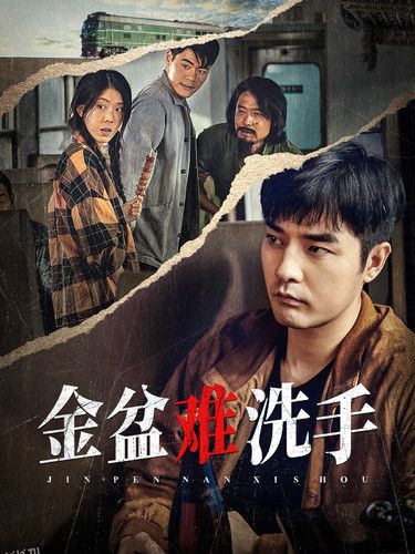 金盆难洗手 海报