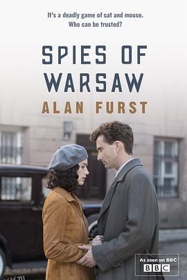 华沙间谍 海报