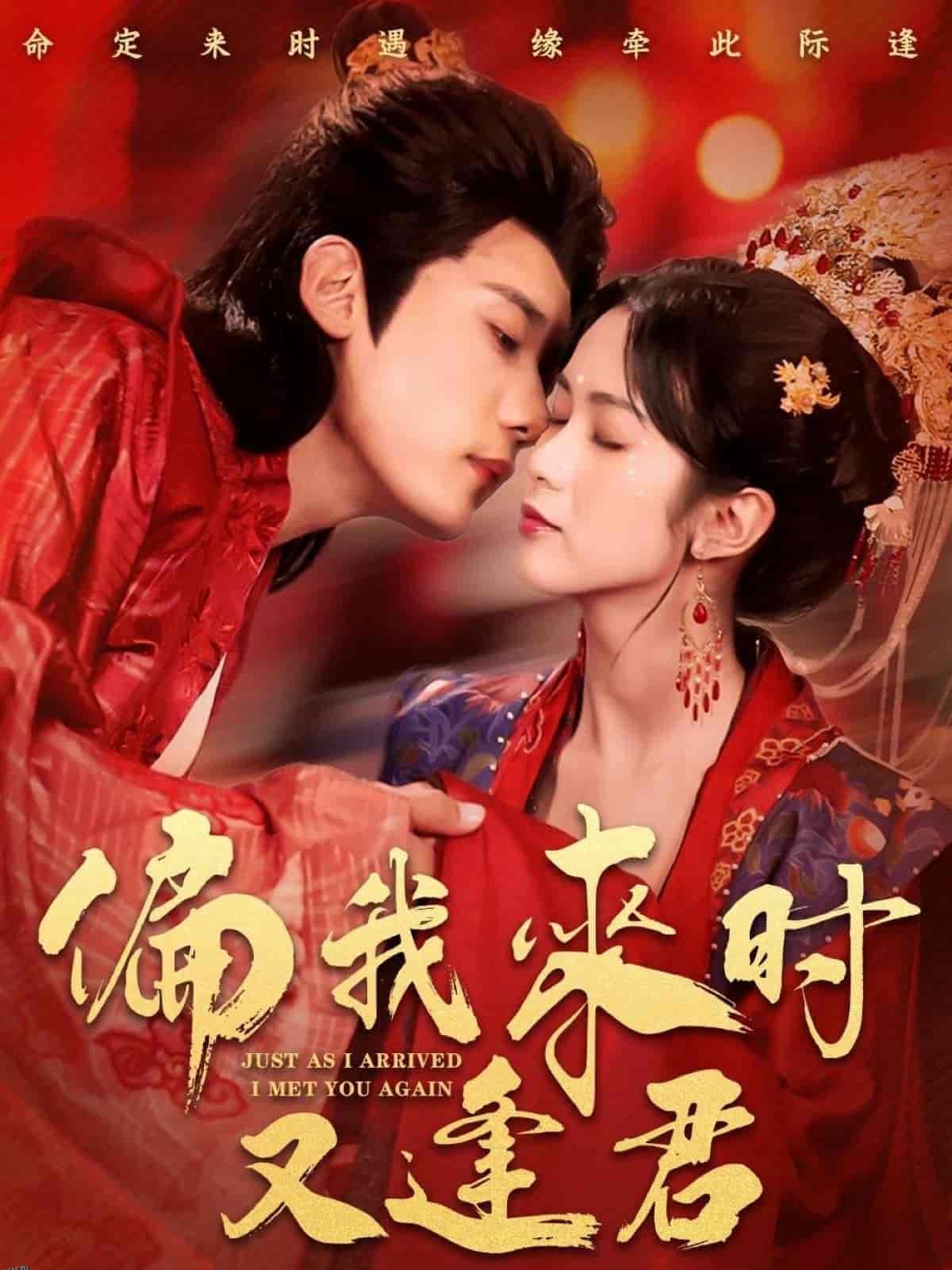偏我来时又逢君 海报