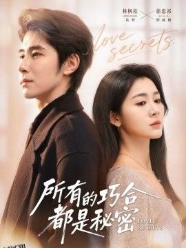 所有的巧合都是秘密 海报