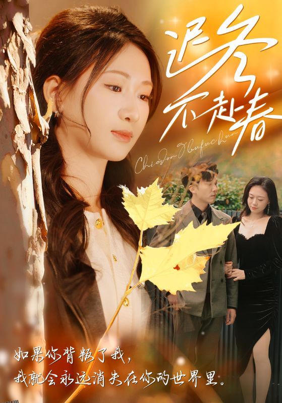 迟冬不赴春 海报