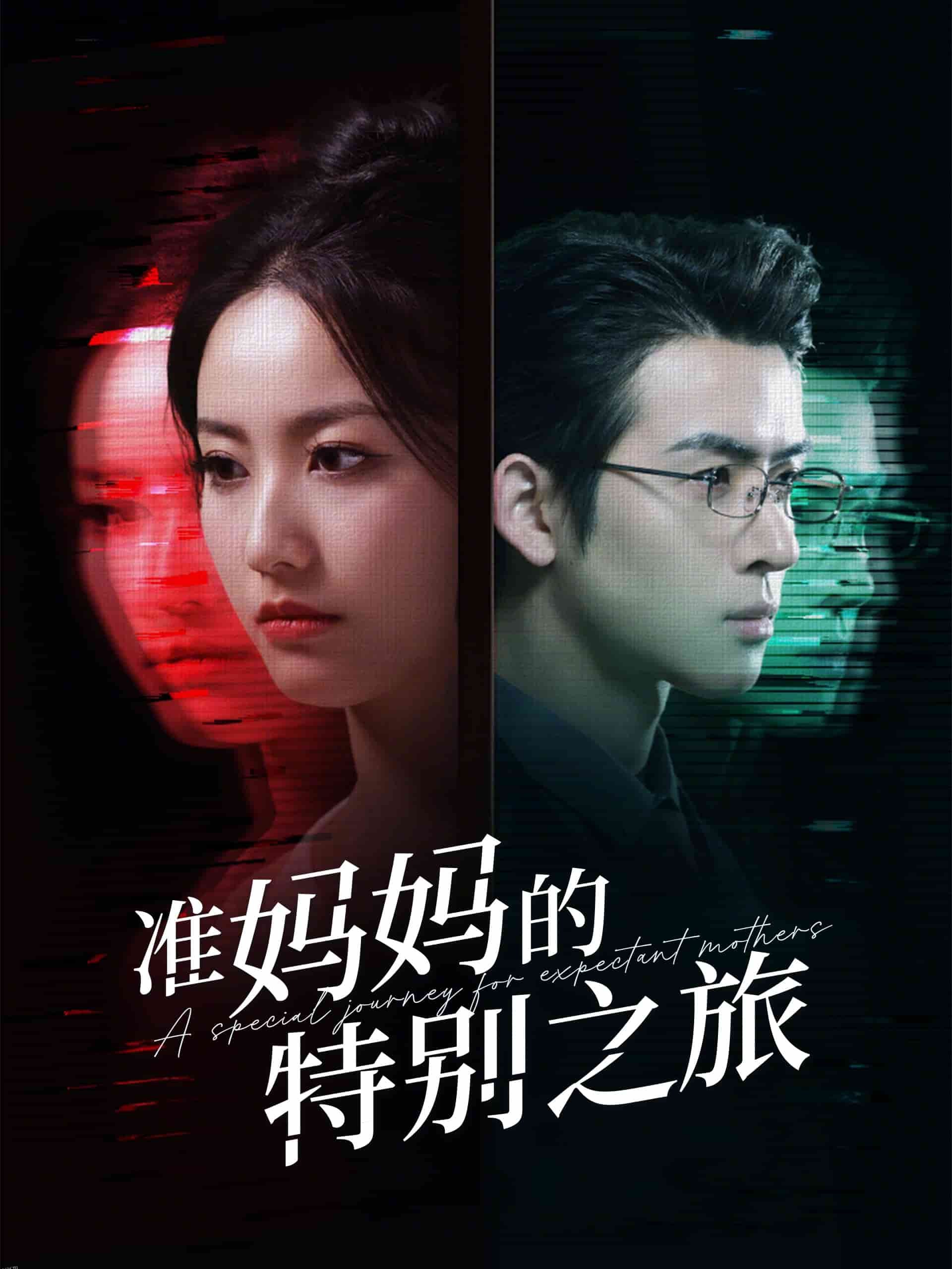 准妈妈的特别之旅 海报