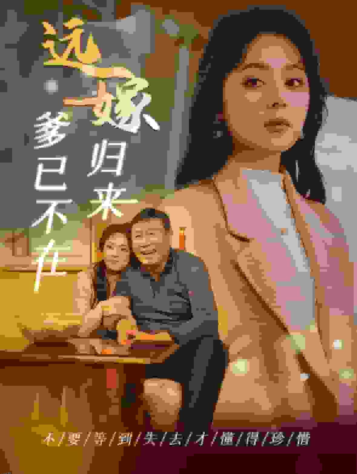 远嫁归来爹已不在 高清海报
