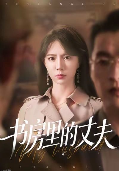 书房里的丈夫 海报