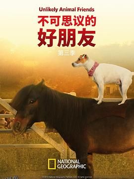 不可思议的好朋友第三季 海报