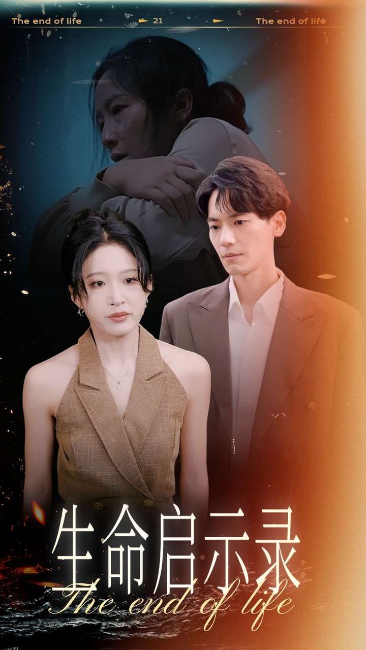 生命启示录 海报