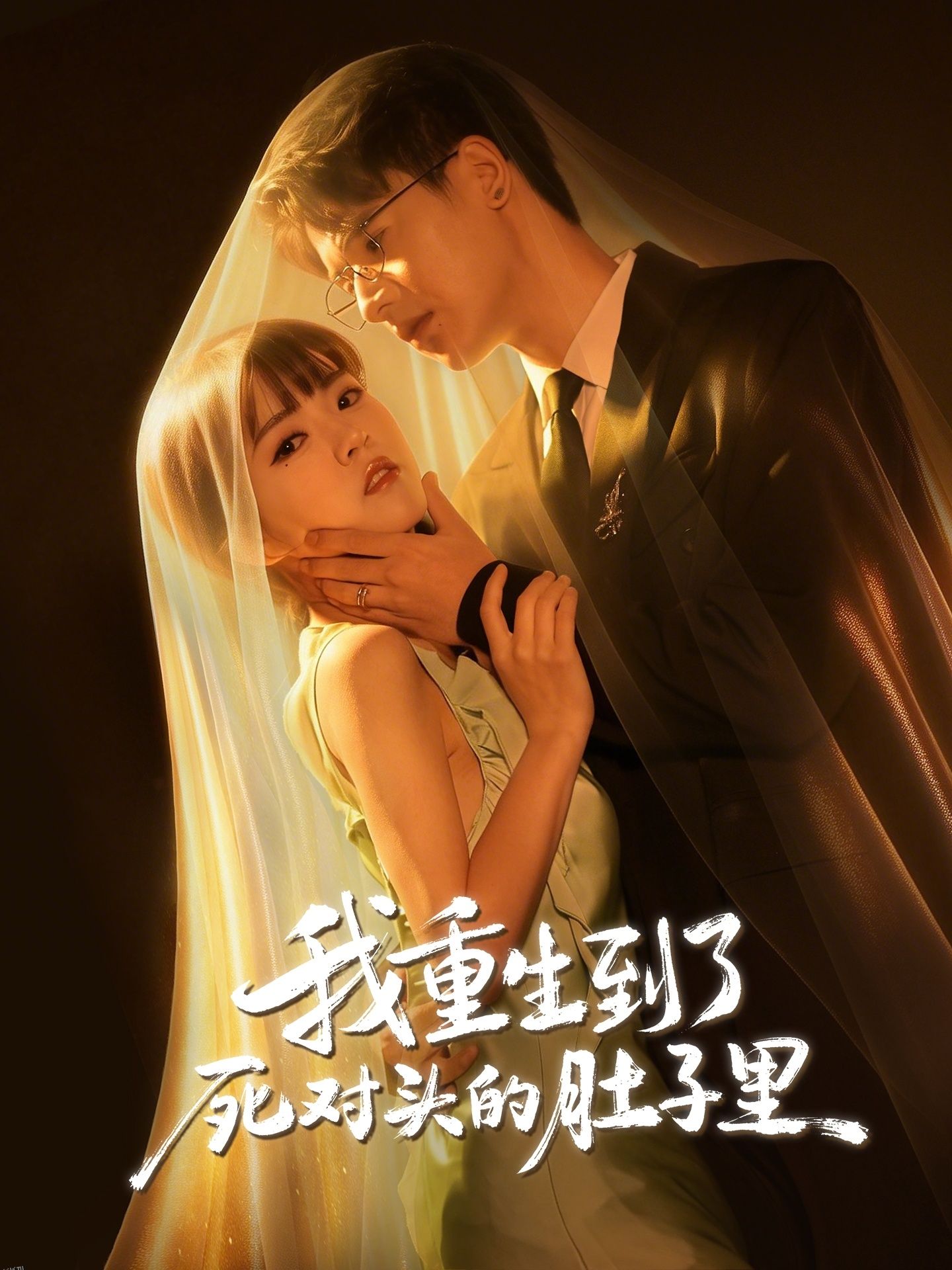 我重生到了死对头的肚子里 海报